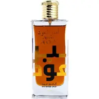 Lattafa Ameer Al Oudh Intense Oud Eau de Parfum unisex 100 ml