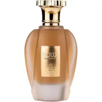 Emir Voice Elegante EDP U 100 ml