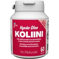 Kärkkäinen Hyvän Olon Koliini 60 kaps ravintolisä