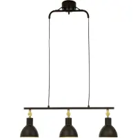 Aneta Lighting Dublin riippuvalaisin