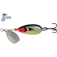 Bete Lotto 9 g / 3,5 cm lippa