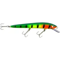 Nils Master Invincible 5 cm vaappu