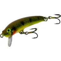 Nils Master Invincible 5 cm vaappu