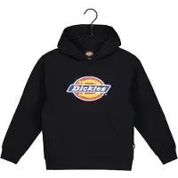Dickies Youth Logo Hoodie Knit Black Pitkähihaiset paidat S