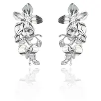 Lumoava Liza hopea korvakorut L54249700000