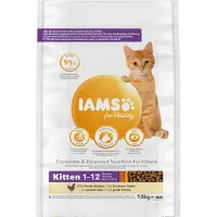 IAMS Kuiva kissanpenturuoka - CAT KITTEN CHICKEN, 10 kg