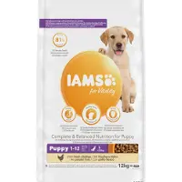 IAMS 12kg Advanced Nutrition Puppy Large Chicken Chicken koiranruoka