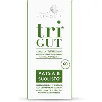 Ale10 Harmonia triGUT maitohappobakteerivalmiste 60 kaps