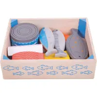 Bigjigs Wooden Box with Fish