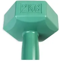 ASG Handweight 2 kg vinyl