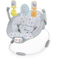 Bright Starts Disney Winnie the Pooh Classic Pals Vibrating Bouncer