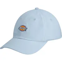 Dickies Hardwick miesten lippis