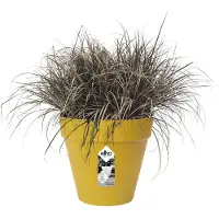 Elho Loft Urban 30 cm Ruukku