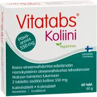 Raw Organic Hankintatukku Vitatabs Koliini 60 tabl.