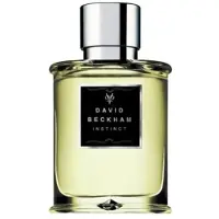 David Beckham Instinct, EdT 50ml