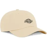 Dickies Essential Dad Lippis