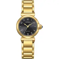 Citizen Eco-Drive Round Collection EM1132-88H