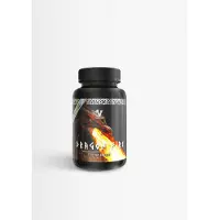 Viking Power Dragon Fire Rasvanpolttaja 90 Kapselia