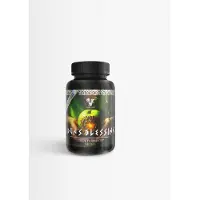 Viking Power 2 kpl Idun's Blessing - Premium NAD+ 90 kapselia