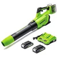 Greenworks Akku lehtipuhallin GD24X2ABK2X; 48 V; 2x2,0 Ah akku