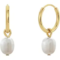 Edblad Perla Hoops - Gold - ONE SIZE