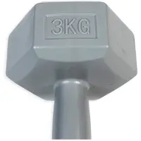 ASG Handweight 3 kg vinyl