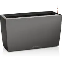 Lechuza Cararo premium tummaharmaa altakasteluruukku rullilla 75x30cm, korkeus 43cm