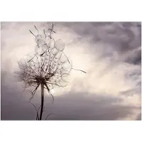 Artgeist Gentle Wind fototapetti