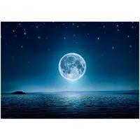 Artgeist Moonlit night itseliimautuva fototapetti