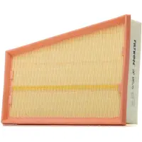 FILTRON Air Filter