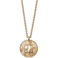Kalevala Koru Amuletti Pohjankarhu kaulakoru iso pronssi 3270314460