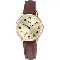 Q&Q naisten rannekello C65A-001PY