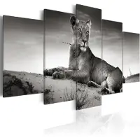 Artgeist Lioness In A Desert taulusetti