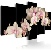 Artgeist An Orchid On A Contrasting Background taulusetti
