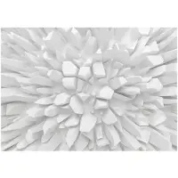 Artgeist White Dahlia fototapetti