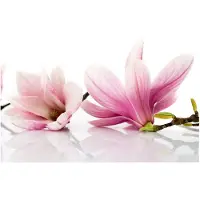 Artgeist Magnolia kukka fototapetti