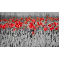 Artgeist Red unikot mustalla ja valkoisella pohjalla fototapetti