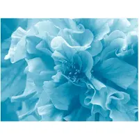 Artgeist Blue azalea fototapetti