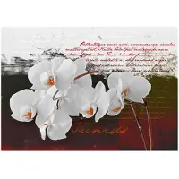 Artgeist Diary And Orchid fototapetti