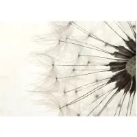 Artgeist White Dandelion fototapetti