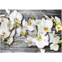 Artgeist Callous Orchids Iii fototapetti
