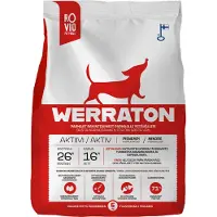 Werraton Aktiivi