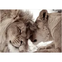 Kärkkäinen Artgeist Lion Tenderness (Sepia) fototapetti