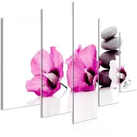 Artgeist Calm Mallow Wide Pink taulusetti