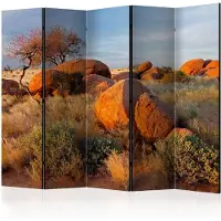 Artgeist African Landscape, Namibia 5-osainen sermi