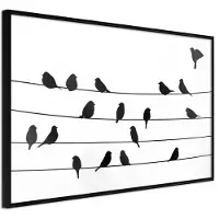 Artgeist Birds Council Meeting juliste
