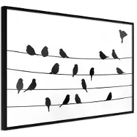 Artgeist Birds Council Meeting juliste