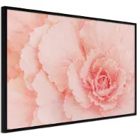Artgeist Delicate Petals juliste