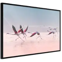 Artgeist Flamingos Breaking Into a Flight juliste