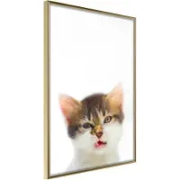 Artgeist Funny Kitten juliste